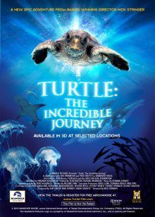 海龟:奇妙之旅
