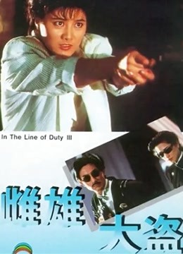 雌雄大盗（1988)（粤语）